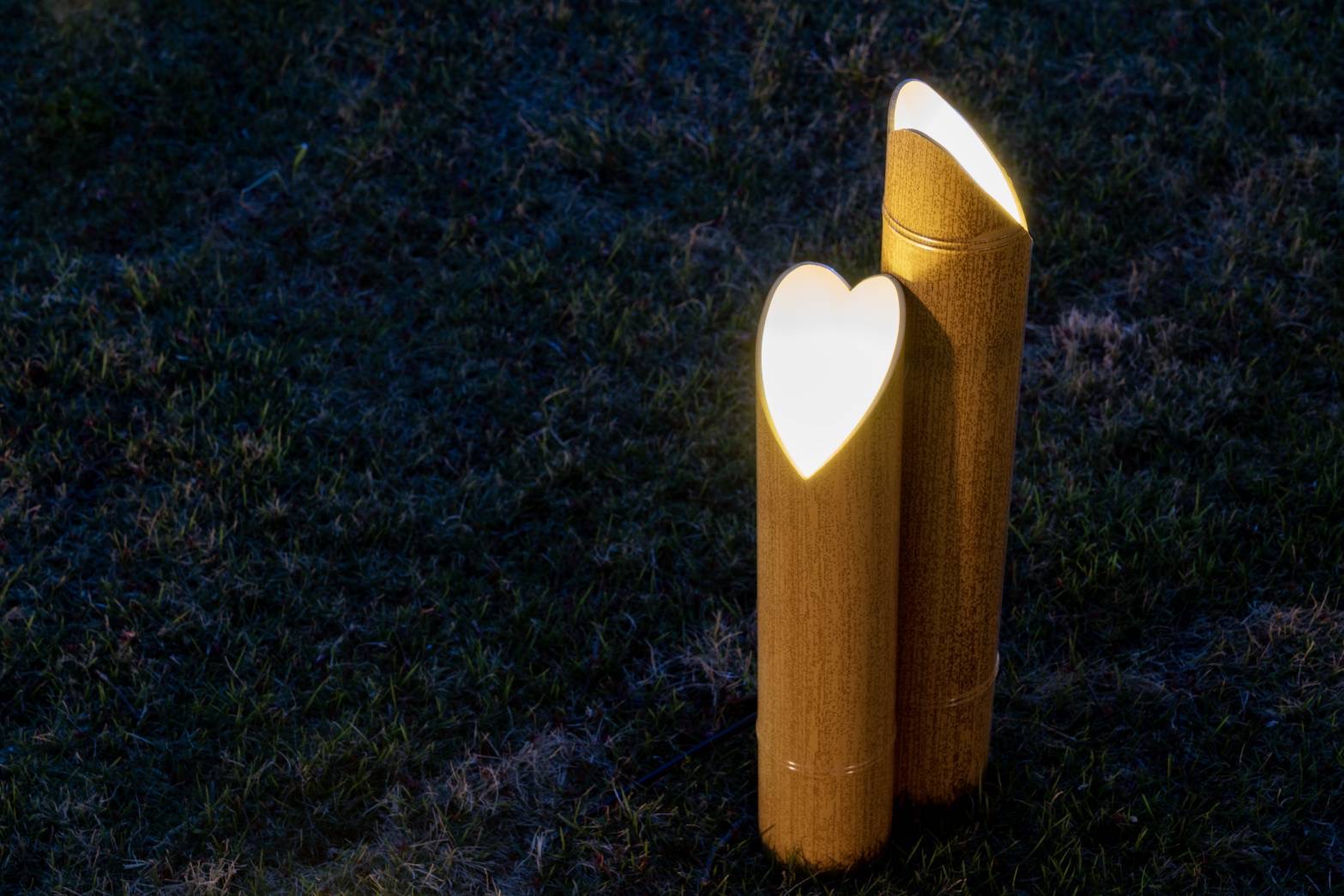 イベント概要イメージ